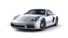 Porsche - Vind 718 modellen