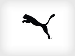 Puma motorsport china cheap