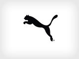 Porsche - PUMA