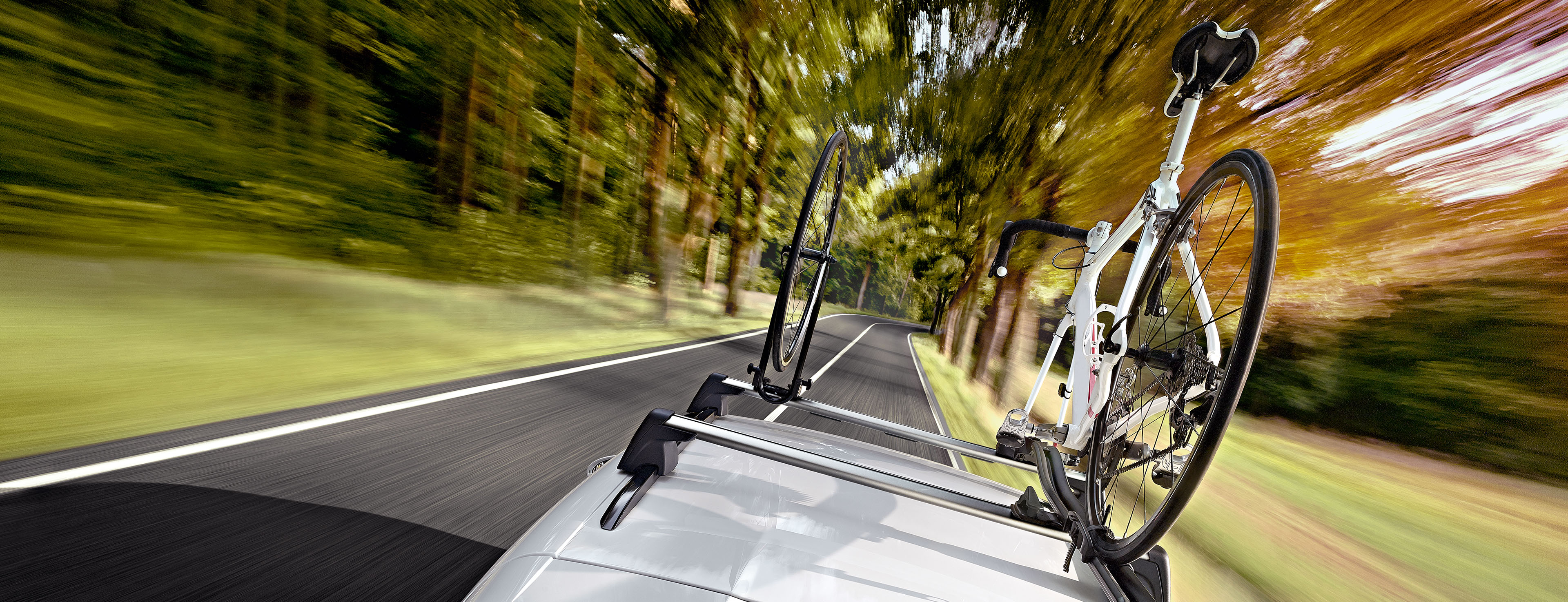 Halfords roof mounted online bike rack